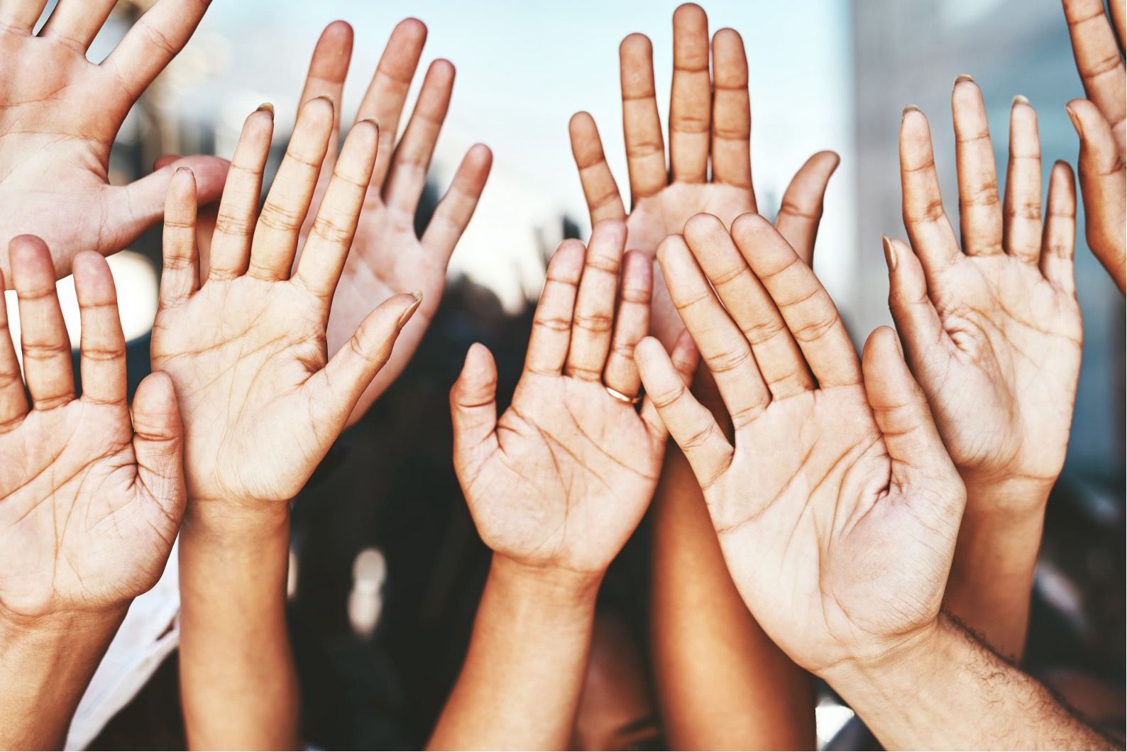 Hands raising in a classroom